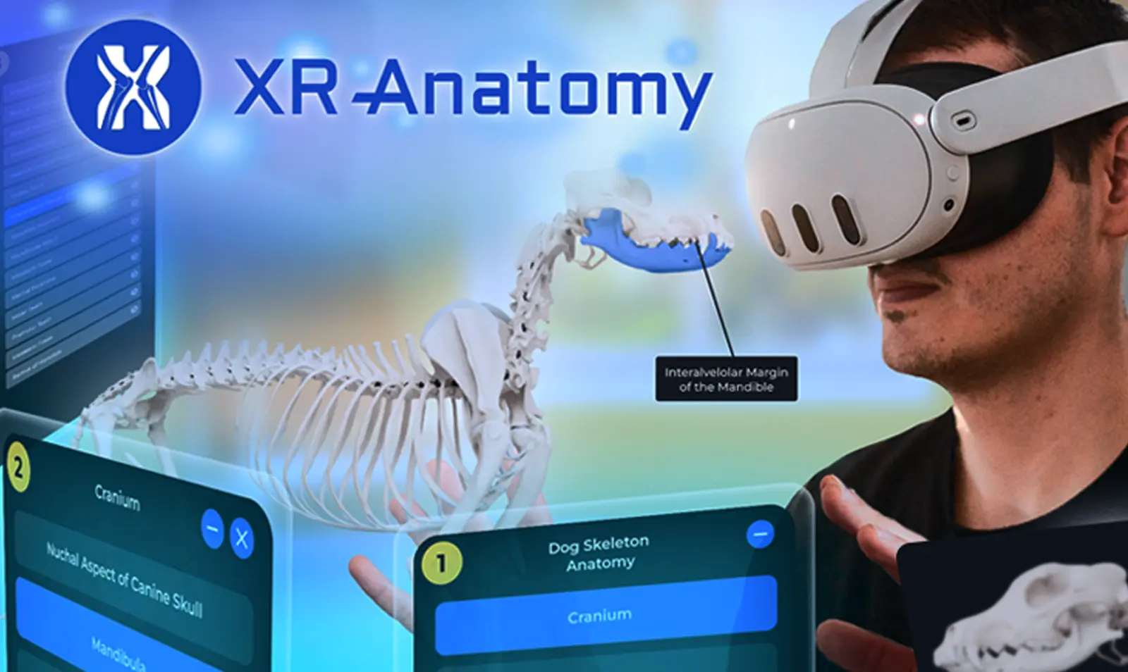 XR-Anatomi-3.webp